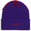 Corduroy Inside Out Beanie - Purple -Famous Skate Shop BQ5CFEB 1